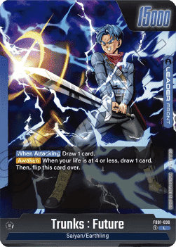 FB01-036 Trunks : Future