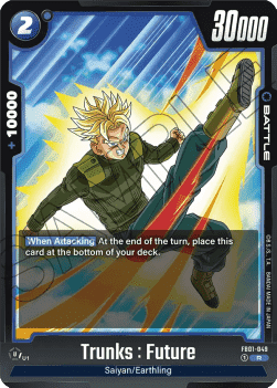 FB01-049 Trunks : Future