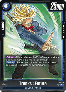 FB01-051 Trunks : Future