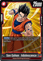 FB05-008 Son Gohan : Adolescence