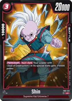 FB01-012 Shin