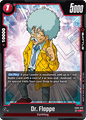 FB06-020 Dr. Flappe