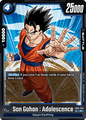 FB05-033 Son Gohan : Adolescence