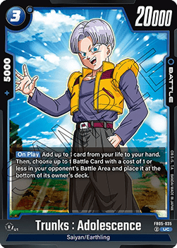 FB05-035 Trunks : Adolescence