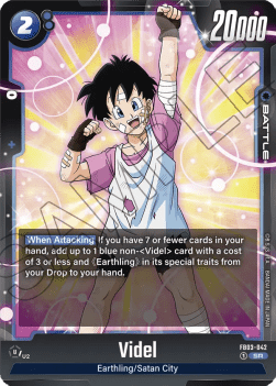 FB03-042 Videl