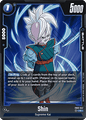 FB02-047 Shin