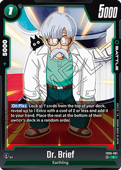 FB05-061 Dr. Brief
