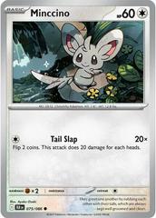075/086 Minccino