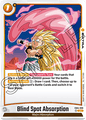 FB04-099 Blind Spot Absorption