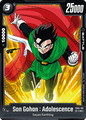 FB05-102 Son Gohan : Adolescence