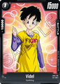 FB05-108 Videl