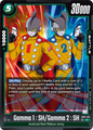 FB07-051 Gamma 1 : SH / Gamma 2 : SH