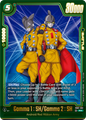 FB07-051 Gamma 1 : SH / Gamma 2 : SH