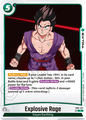 FB07-071 Explosive Rage