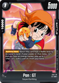 FB07-110 Pan : GT