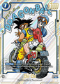 SB01-019 Chi-Chi