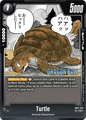 SB01-048 Turtle